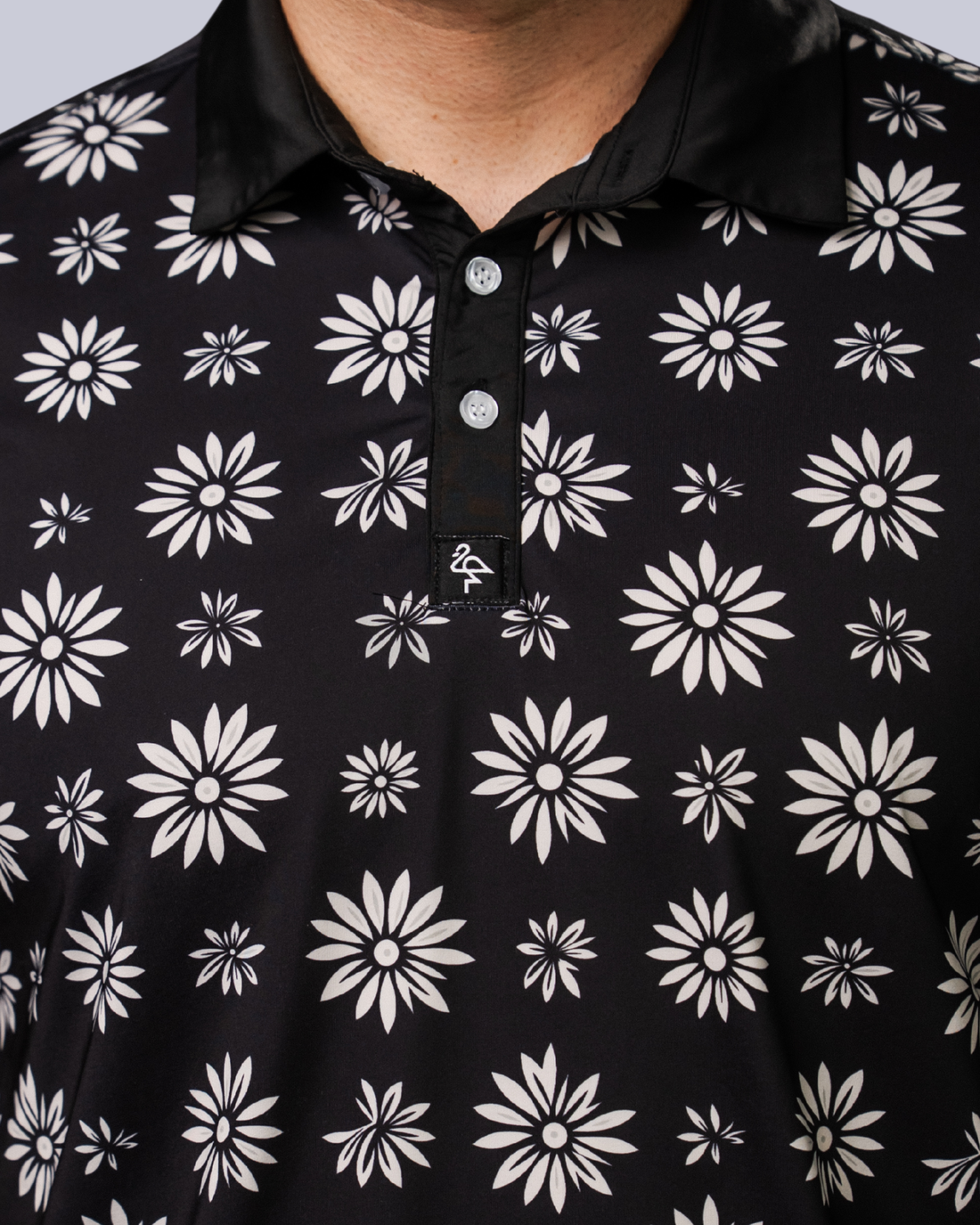 Midnight Daisy